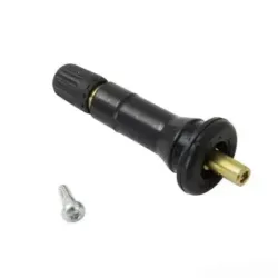 Válvula del Sensor TPMS (20018)