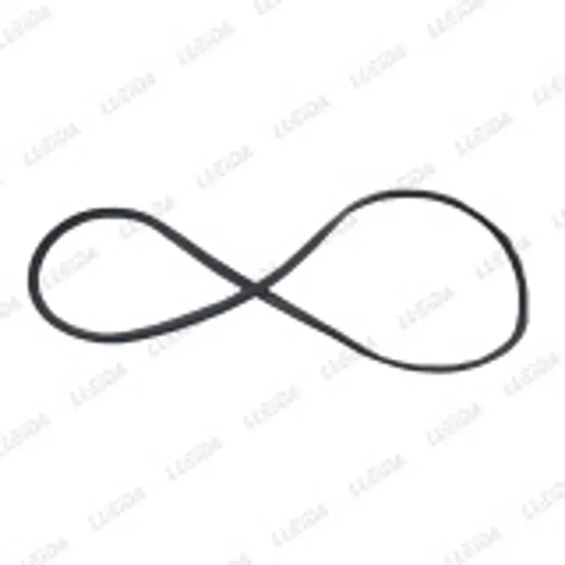 Junta puerta delantero derecho CK