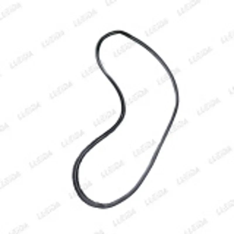 Junta puerta delantero izquierdo CK