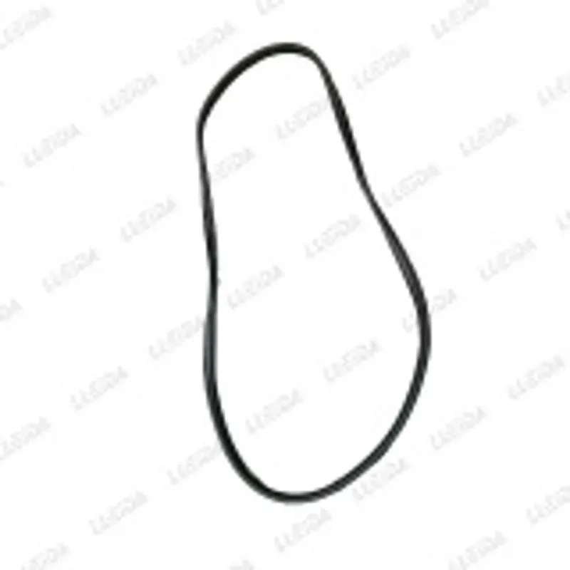 Junta puerta trasero derecho CK