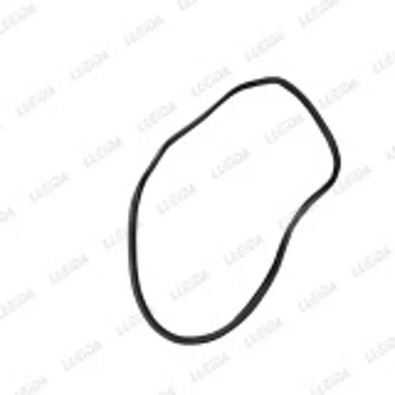 Junta puerta trasero derecho CK