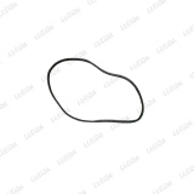 Junta puerta trasero izquierdo CK