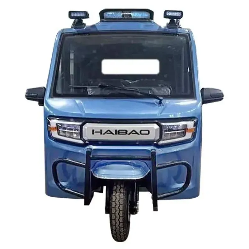 SH001 Triciclo Eléctrico de Ocio con Batería LiFePO4 de 60V 105Ah