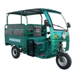 Triciclo electrico de carga potencia 1500 w bateria de gel 60 volt 58ah