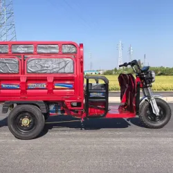 TRICICLO PORTOBELLO GRANDE