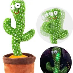 Cactus Bailarín 