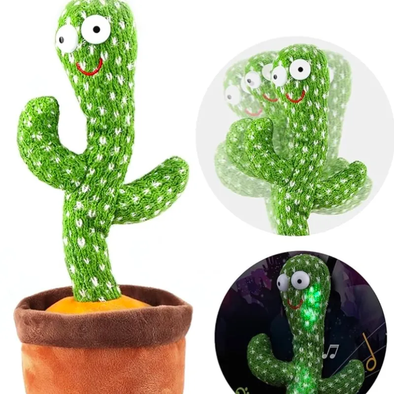 Cactus Bailarín 