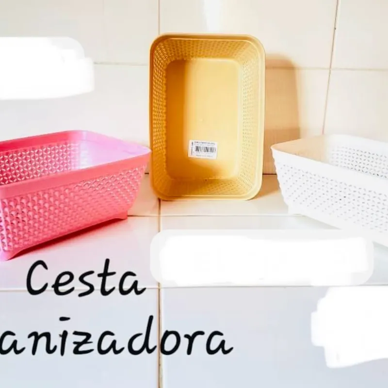 Cesta organizasora