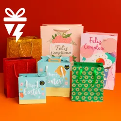 🎁 Bolsas de Regalo Variadas