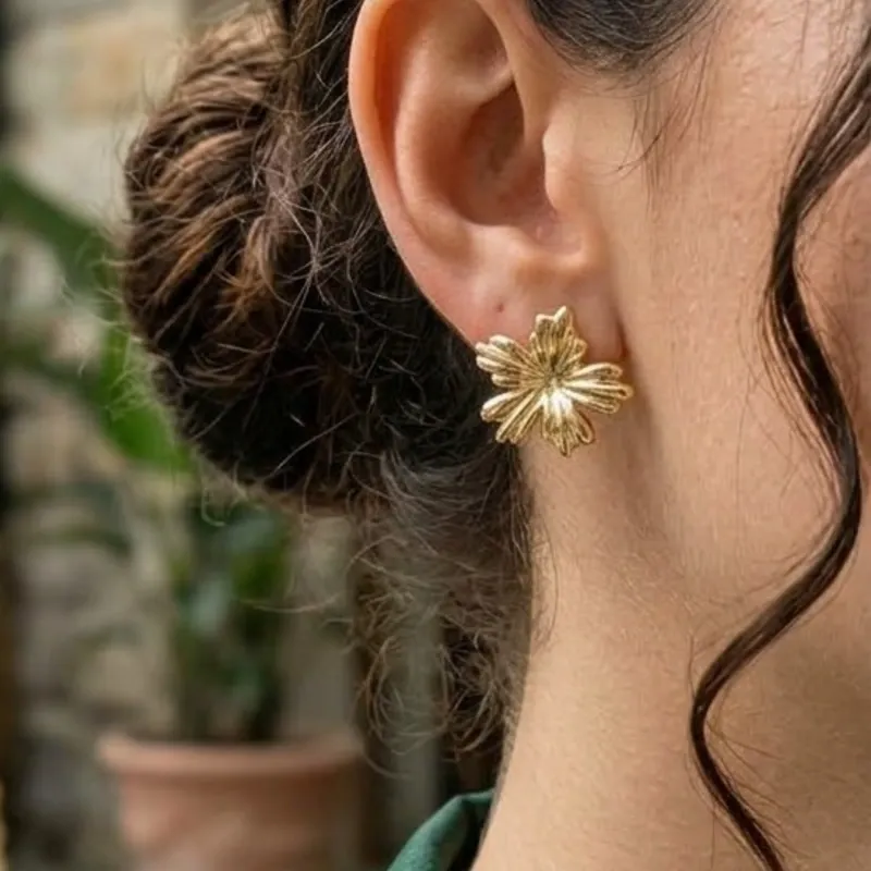 Aretes medianos Acero inoxidable