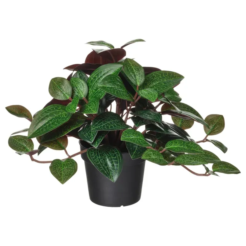Maceta artificial tipo orquídea joya