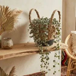 Cesta decorada