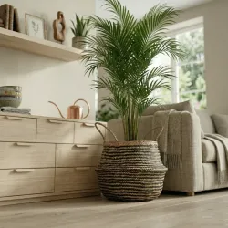 Cesta decorativa de junco marino