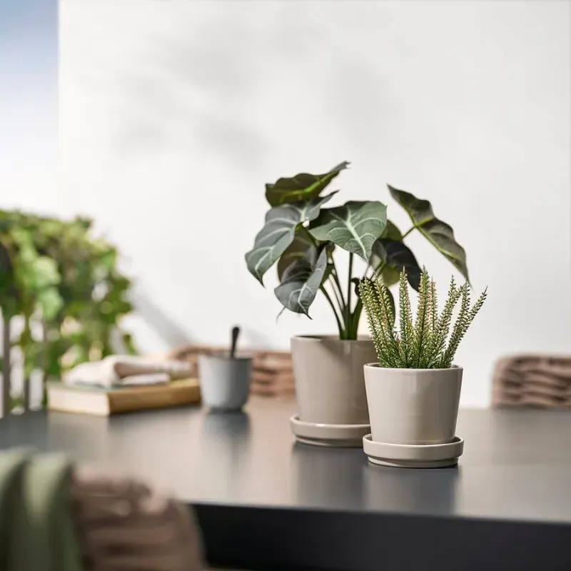 Maceta artificial tipo pilea