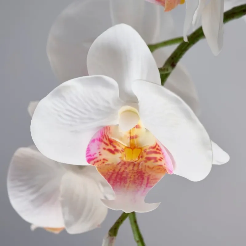 Planta artificial con orquídea 