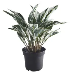 Maceta artificial tipo calathea