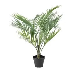 Maceta artificial tipo chrysalidocarpus