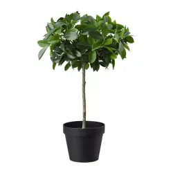 Maceta artificial tipo ficus