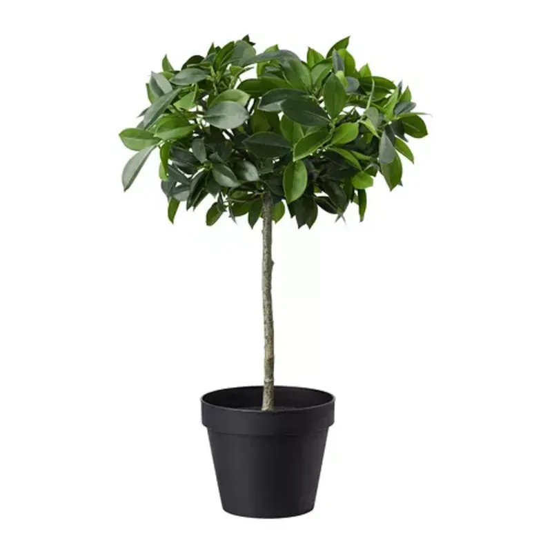 Maceta artificial tipo ficus