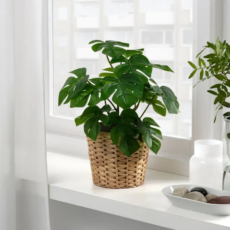 Maceta artificial tipo Monstera