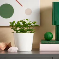 Maceta artificial tipo menta