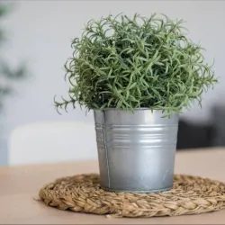 Maceta artificial tipo romero