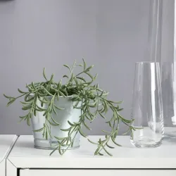 Maceta artificial tipo senecio