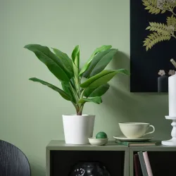 Maceta tipo musa tropicana