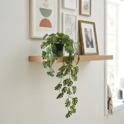 Maceta colgante tipo monstera
