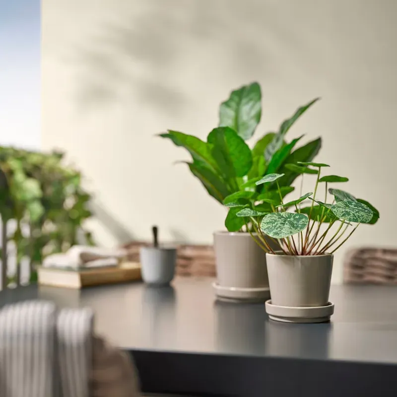 Maceta artificial tipo pilea