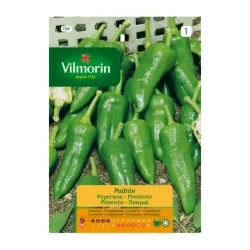 Semillas de pimiento - 1 gr