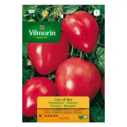 Semillas de TOMATE CORAZON BUEY - 1 gr