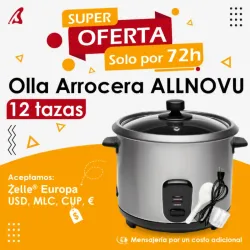 Olla Arrocera 12 tazas