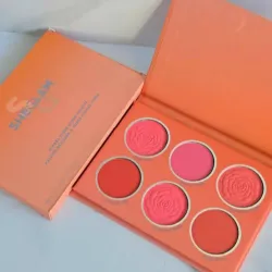 Paleta de rubores Sheglam💞