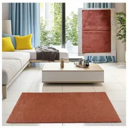 Alfombra Decorativa 