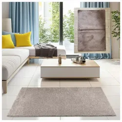 Alfombra Decorativa 