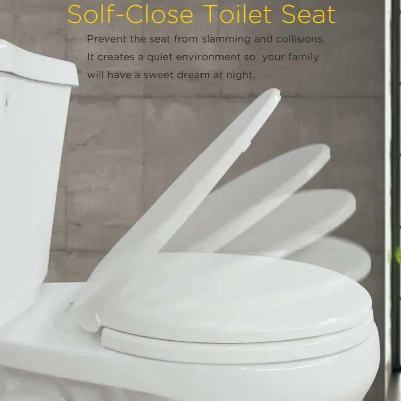 Asiento para inodoro 