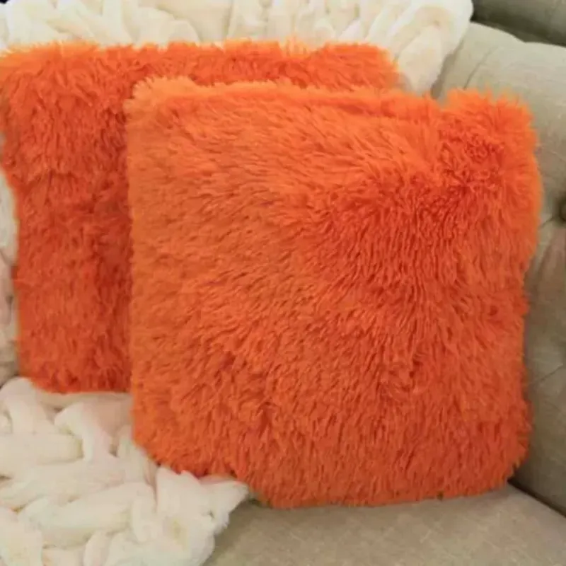 Set de cojines decorativos 