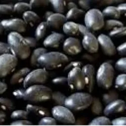 Frijoles negros 