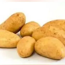 Papas