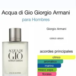 Perfume Agua di Gio 200ml 