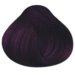 Tinte Lissia Rojo berenjena 4-64