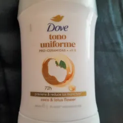 Desodorantes en barra Dove y Rexona