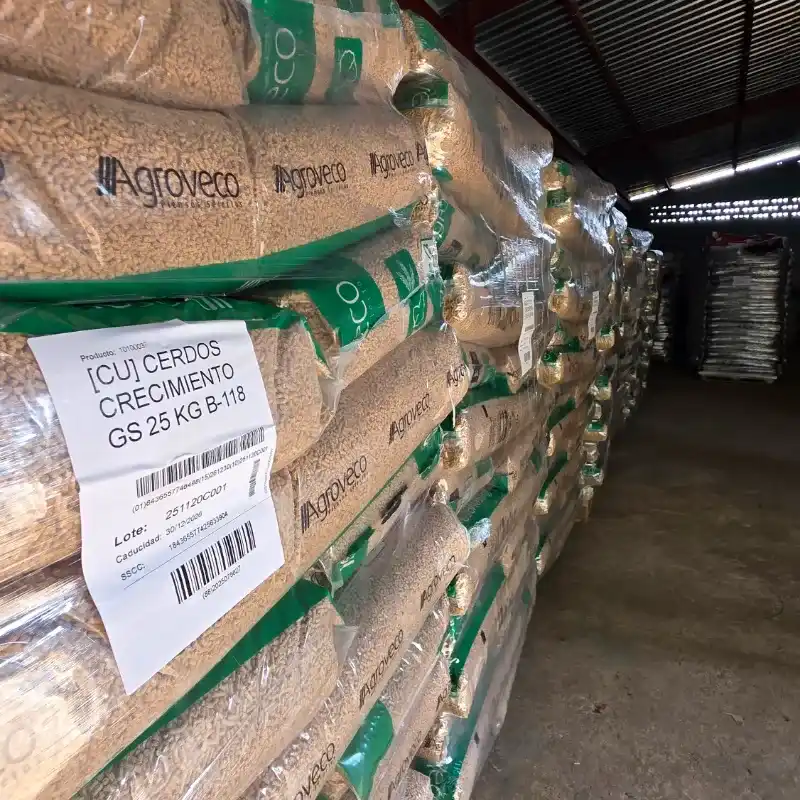Pienso importado de engorde para cerdos