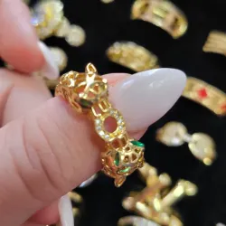 Anillo 