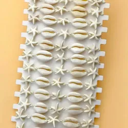 Pulsos de caracolas 🐚