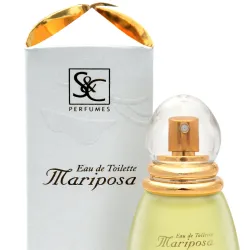 Mariposa Tradicional 