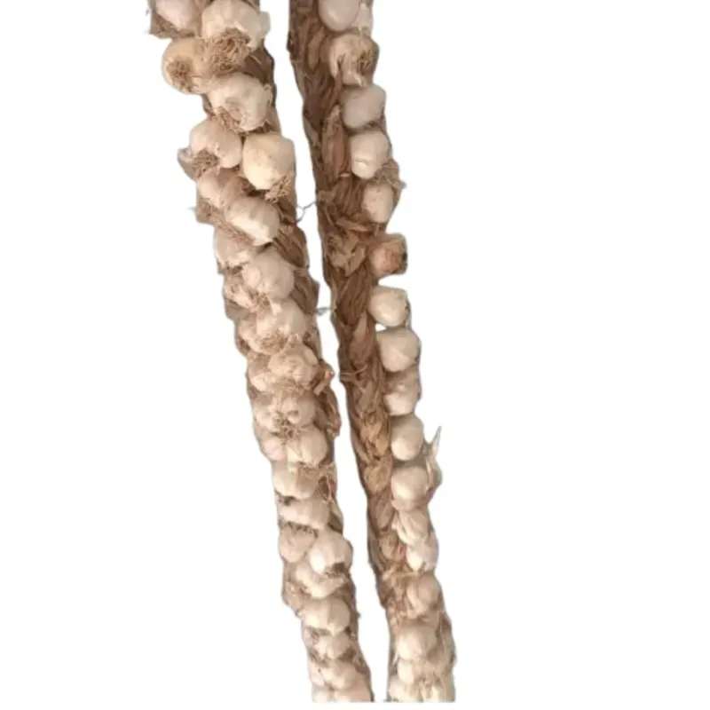 Pata de ajo chileno 