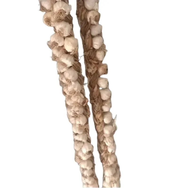 Ristra de ajo chileno
