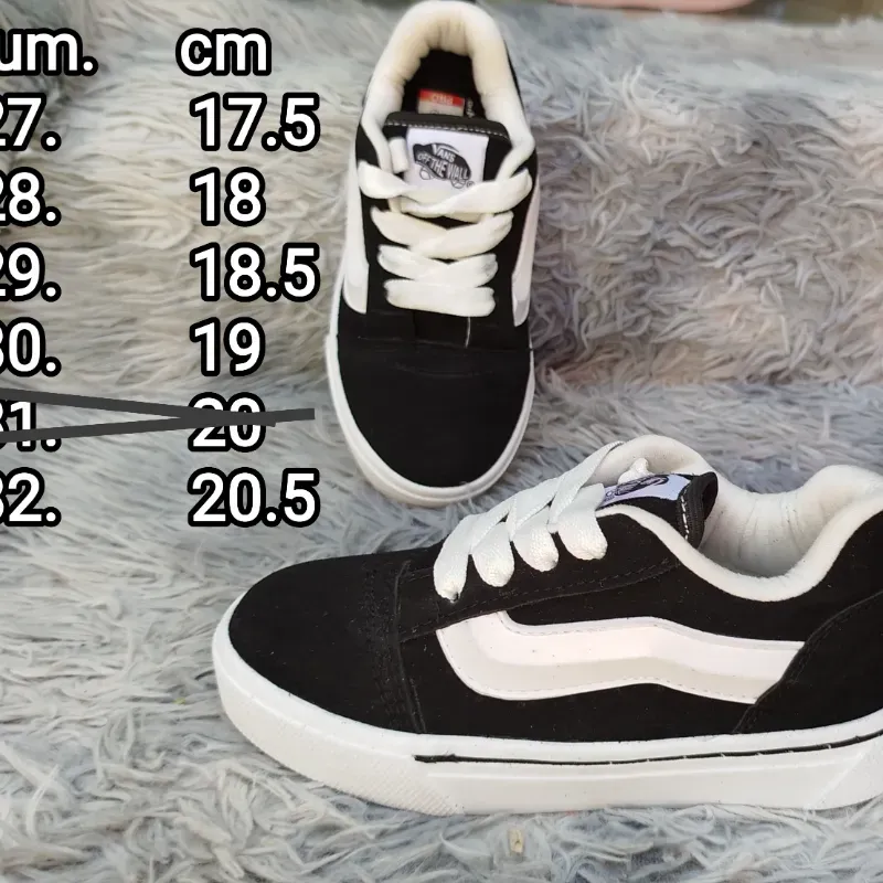 Calzado Tenis.